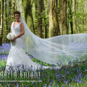 Wedding Photography David Knight