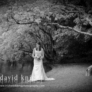 Wedding Photographer David Knight